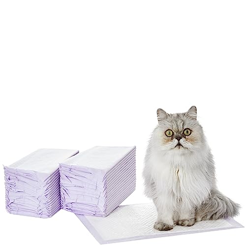 Best Cat Pad Refills for Litter Box