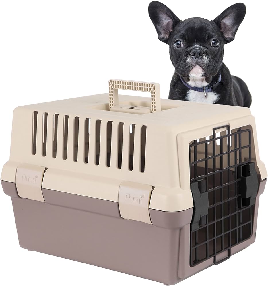 Choosing the right Petsafe Plastic pet door for your Furry Friends