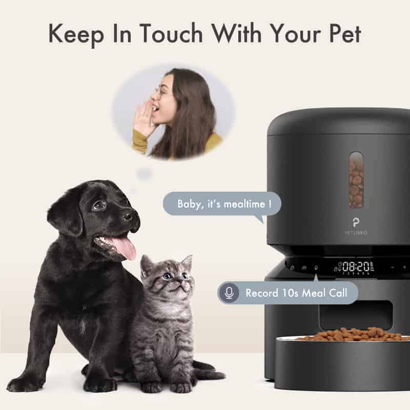 Optimize Mealtime with Automatic Cat Feeder